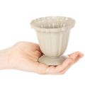 Dekorativ skål, cremefarvet trofæ, lille, 10 cm | Floristik24.dk