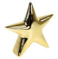 Floristik24 Keramisk stjerne guld, blank 25cm