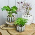 Floristik24 Keramisk potte, kunstfærdig plantekasse, plantekasse turkis, beige, brun Ø11,5cm H9cm 2stk