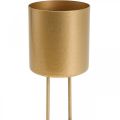 Floristik24 Plug-in lysestage guld fyrfadsstage metal Ø5cm 4stk