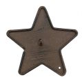 Floristik24 Lysestage stjerne til pind 9cm brun