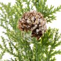 Kunstig fyrretræsgrene med kogler, snedækkede, 28 cm, 6 stk. | Floristik24.dk