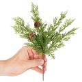 Kunstig fyrretræsgrene med kogler, 28 cm, 6 stk. | Floristik24.dk