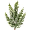 Floristik24 Kunstigt snedækket fyrretræsgrene til blomsterarrangementer og adventsdekorationer, 40 cm, 3 stk.