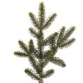 Floristik24 Kunstig grangren til borddekoration og arrangementer, 45 cm, 3 stk.