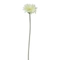 Floristik24 Kunstige blomster Gerbera Hvid 45cm