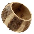 Floristik24 Coconut shell naturlig 5stk