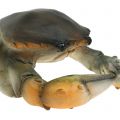 Floristik24 Dekorativ krabbe og hummer 11 cm - 15 cm