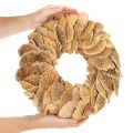 Træsvampekrans, naturlig farve, til dør- eller vægdekoration, 37 cm | Floristik24.dk