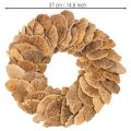 Træsvampekrans, naturlig farve, til dør- eller vægdekoration, 37 cm | Floristik24.dk