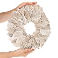 Krans Træsvamp Naturlig Dekoration 37cm | Floristik24.dk