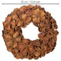 Tørret lotuskrans, dekorativ dørkrans, 35 cm | Floristik24.dk