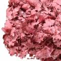 Floristik24 Krans af egeblade pink voksbehandlet Ø38cm