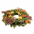Floristik24 Krans af efterårsblade kunstigt grønne, gule, orange Ø45cm