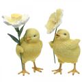 Floristik24 Glad påske kyllinger, kyllinger med blomster, påske bordpynt, dekorative kyllinger H11/11,5 cm, sæt med 2