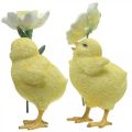 Floristik24 Glad påske kyllinger, kyllinger med blomster, påske bordpynt, dekorative kyllinger H11/11,5 cm, sæt med 2