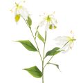 Floristik24 Kunstig Gloriosa-blomst, hvid og gul, elegant blomstrende gren til dekoration, 80 cm, 3 stk.