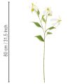 Kunstig Gloriosa-blomst, hvid og gul, elegant blomstrende gren til dekoration, 80 cm, 3 stk. | Floristik24.dk
