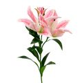 Floristik24 Kunstig Lily Pink Real Touch 100cm