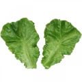Kunstige salatblade salatmad dummy 16cm × 12cm