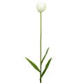Floristik24 Kunstige tulipaner hvidgrøn 86 cm 3stk