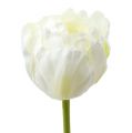 Floristik24 Kunstige tulipaner hvidgrøn 86 cm 3stk