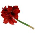 Kunstig Amaryllis Juleblomster Røde Kunstige Blomster L40cm