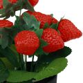 Floristik24 Kunstig jordbærplante i potte kunstig plante 19cm