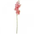 Floristik24 Kunstige orkideer deco kunstig blomst orkidé pink 71cm