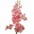 Floristik24 Kunstige orkideer deco kunstig blomst orkidé pink 71cm