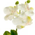 Floristik24 Kunstige orkideer Kunstig blomsterorkidé hvid 20cm