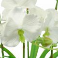 Floristik24 Kunstige orkideer kunstige blomster i hvid potte 60cm