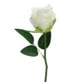 Floristik24 Kunstige roser i bundt hvid 30cm 8stk