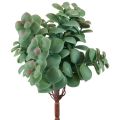 Floristik24 Kunstige eukalyptus kunstige planter til stikning 18cm 4stk