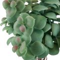 Floristik24 Kunstige eukalyptus kunstige planter til stikning 18cm 4stk