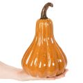 Keramik Græskar Efterår Borddekoration 26cm | Floristik24.dk