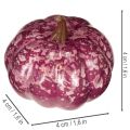 Mini græskardekorationssæt, efterårs- og halloweendekorationer, assorterede farver, 4 cm, 24 dele | Floristik24.dk