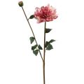 Floristik24 Kunstig blomst dahlia pink blomst med knop H57cm