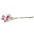 Floristik24 Kunstig blomst magnolia gren, magnolia pink pink 92cm