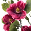 Floristik24 Kunstig blomst magnolia gren, magnolia kunst pink 65cm 3 stk