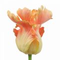 Floristik24 Kunstig blomst, papegøje tulipan orange, forårsblomst 63cm