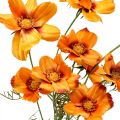 Floristik24 Kunstige blomster Cosmea Orange smykkekurv H51cm 3stk
