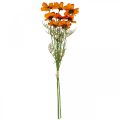 Floristik24 Kunstige blomster Cosmea Orange smykkekurv H51cm 3stk