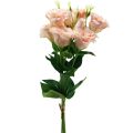 Floristik24 Kunstige blomster Eustoma Lisianthus pink 52cm 5stk