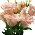 Floristik24 Kunstige blomster Eustoma Lisianthus pink 52cm 5stk