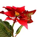 Floristik24 Kunstige blomster julestjerne rød L73cm