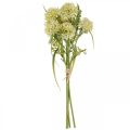 Floristik24 Kunstige blomster hvid allium dekoration prydløg 34cm 3 stk i bundt