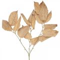 Kunstig plante efterårsdekoration grenblade vasket hvide L70cm