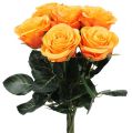 Floristik24 Kunstige roser fyldt orange Ø6cm L37cm 6stk