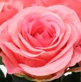 Floristik24 Kunstig rosefyldt fløde, lyserød Ø6cm L37cm 6stk